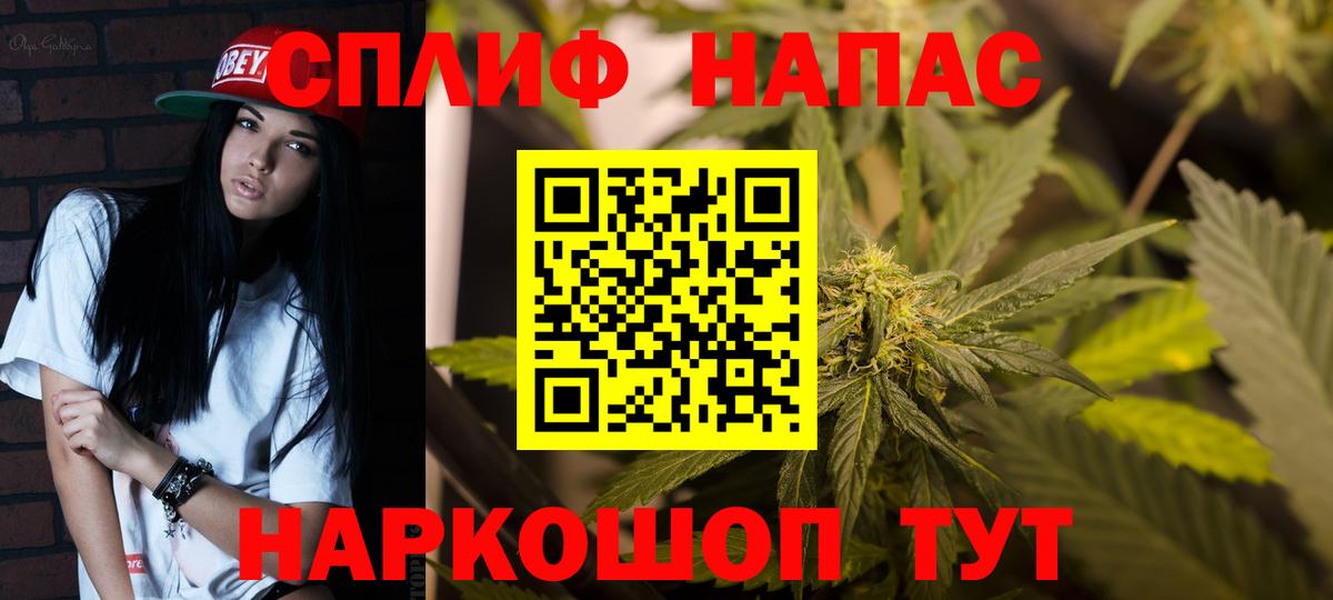 Шишки марихуана планчик  Конопля White Widow  МАРИХУАНА тримм  Ковров  Вход с VPN 